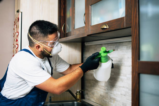 Best Best Pest Control Companies  in Severn, MD