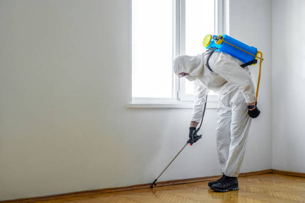 Best Flea Control Services  in Severn, MD