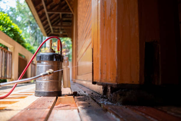 Best Affordable Pest Control Services  in Severn, MD