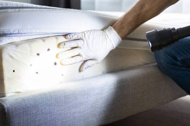 Best Residential Pest Control  in Severn, MD