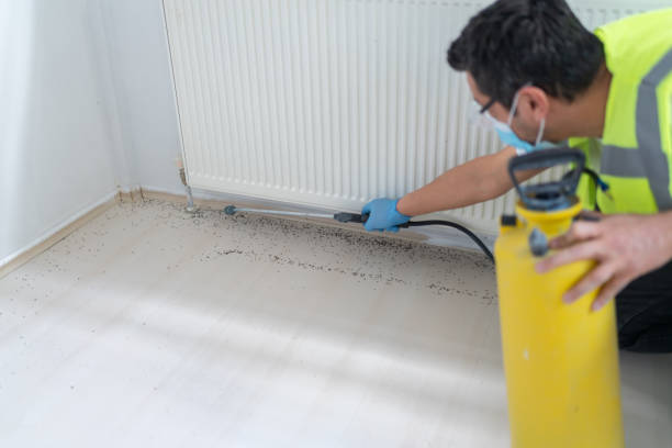 Best Pest Control Near Me in Severn, MD