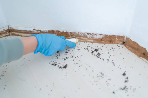 Best Affordable Pest Control Services  in Severn, MD